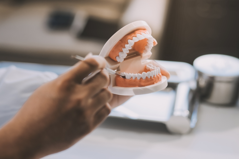 A,dentist,is,using,specialized,dental,equipment,to,inspect,dentures